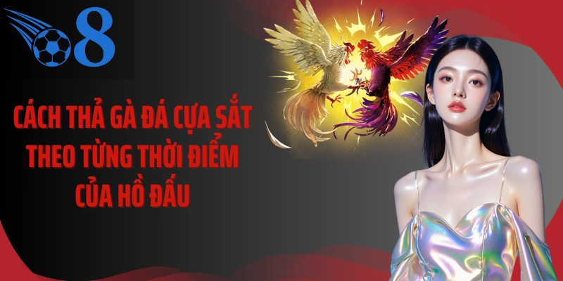 Cách thả gà đá cựa sắt theo từng thời điểm của hồ đấu