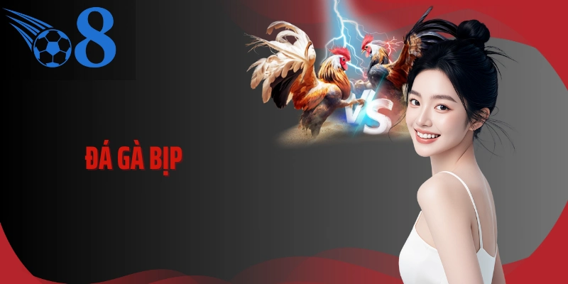 Đá Gà Bịp Và Những Góc Khuất Khó Nhận Ra Trên Sới Đấu