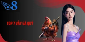 Top 7 Vảy Gà Quý Giúp Đọc Thế Trận Và Xuống Kèo Chuẩn
